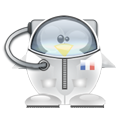 Penguin pingouin pinguino 682